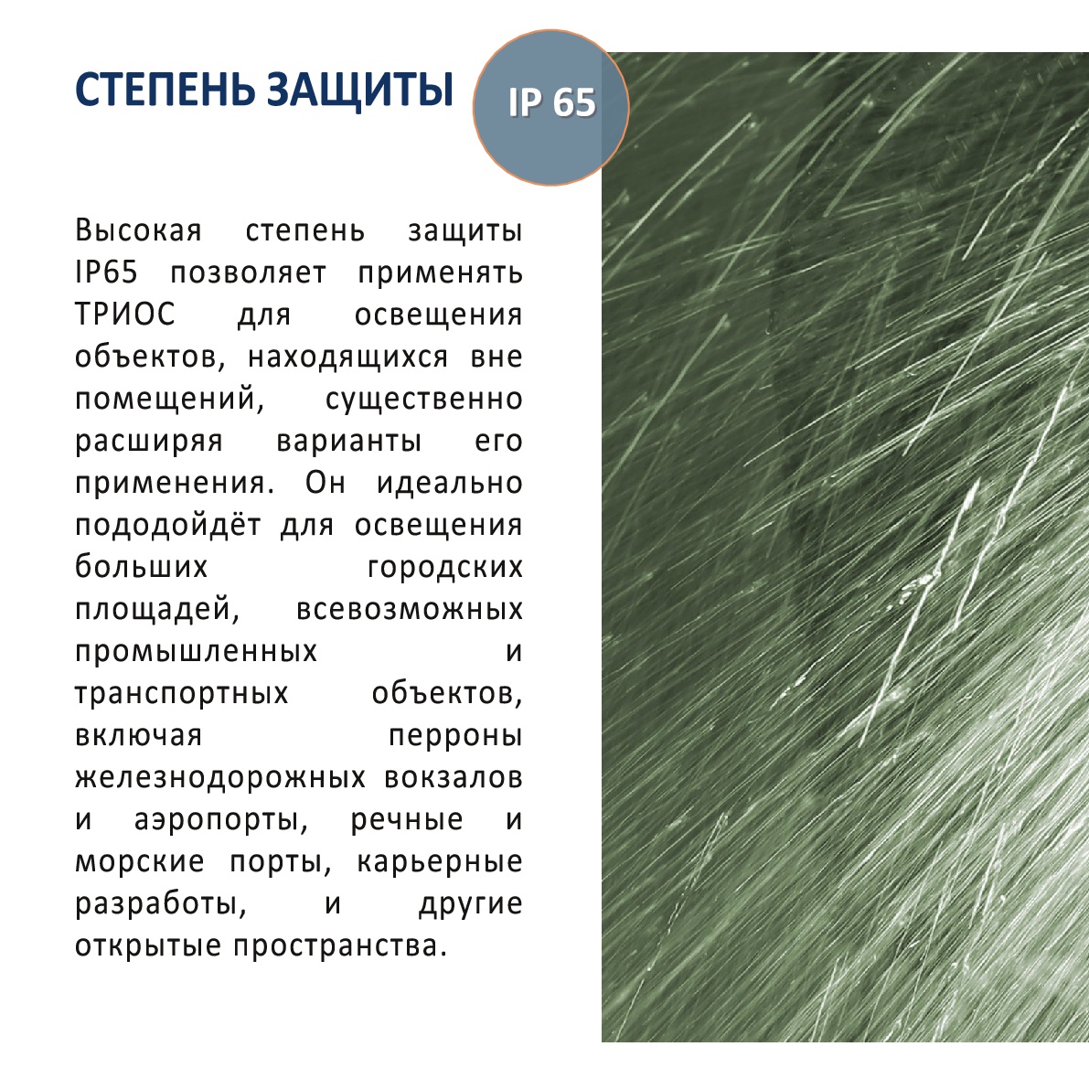 Триос18.jpeg